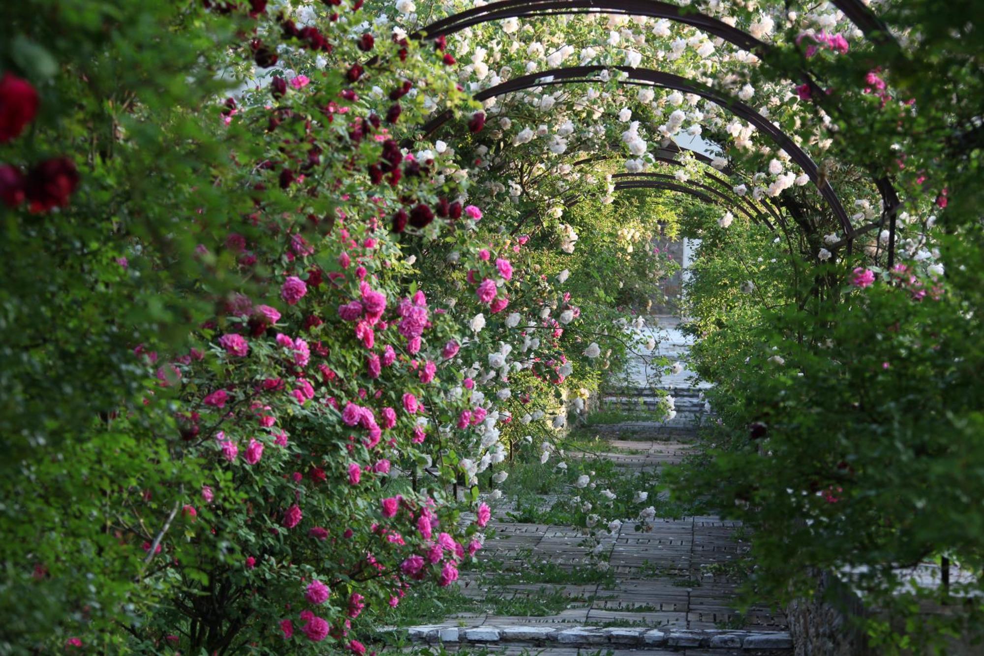 Chateau De Potelières Pokoj fotografie