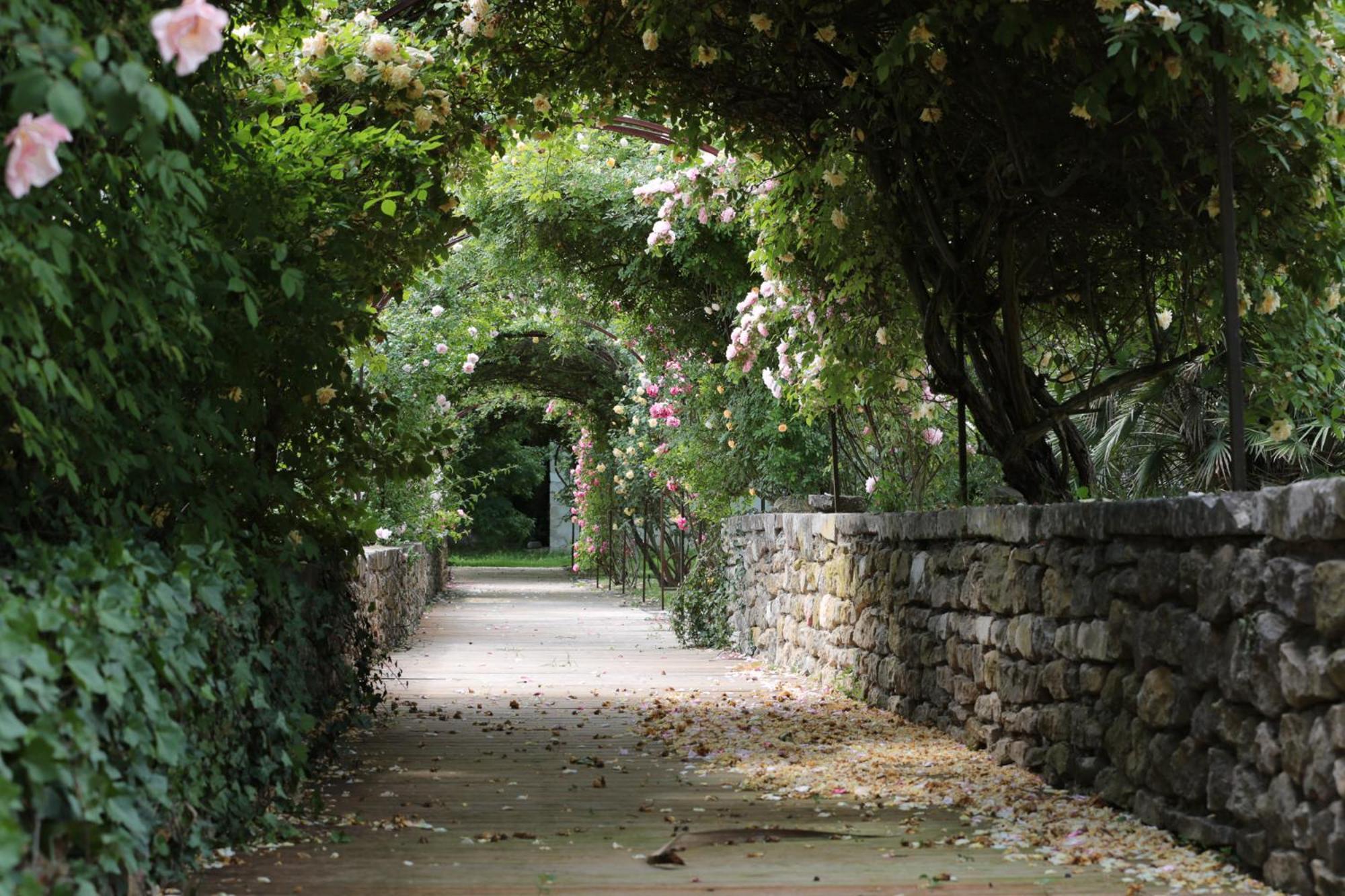 Chateau De Potelières Exteriér fotografie